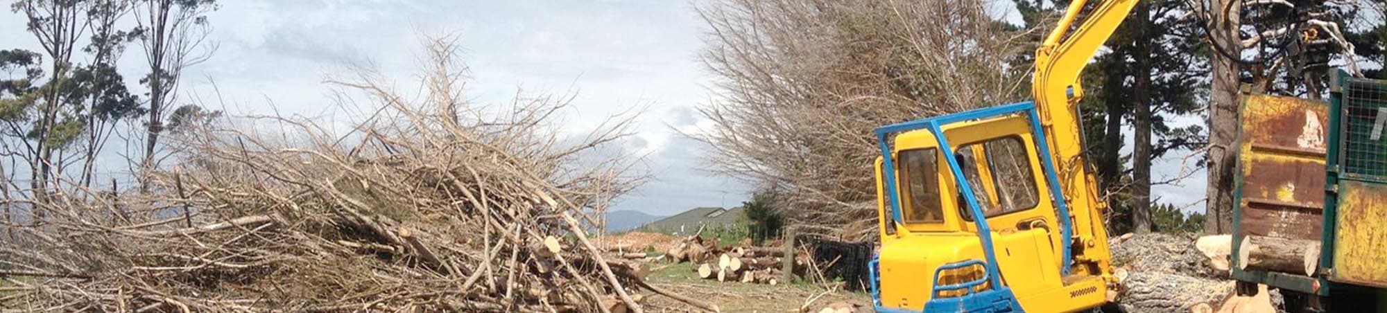 tree pruning north shore