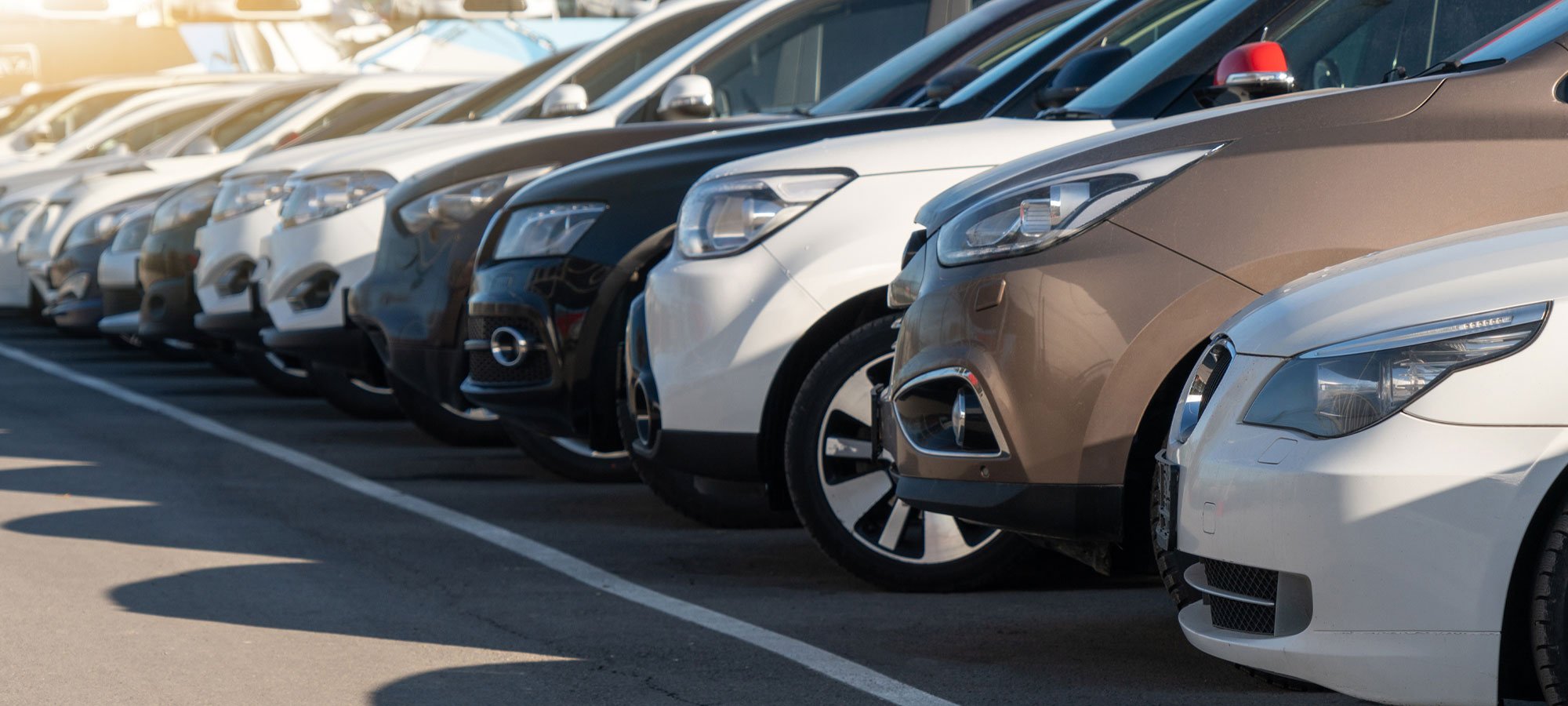 A dozen cars lined up, all in pristine condition, maintained by the Motor Works Group