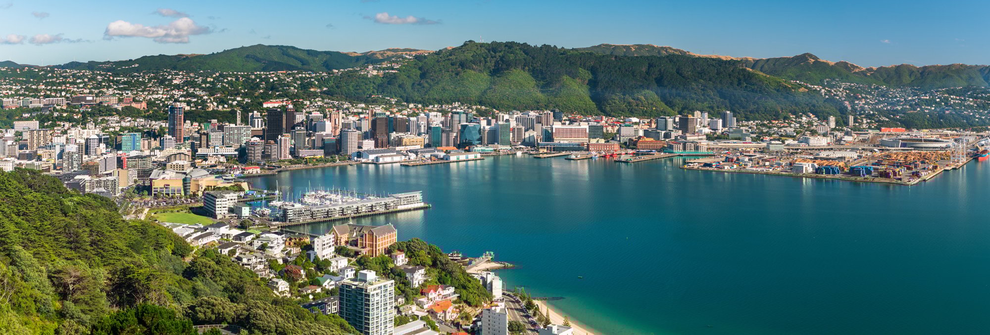 Stunning overview of Wellington city with the luscious green hills and bright blue bay 