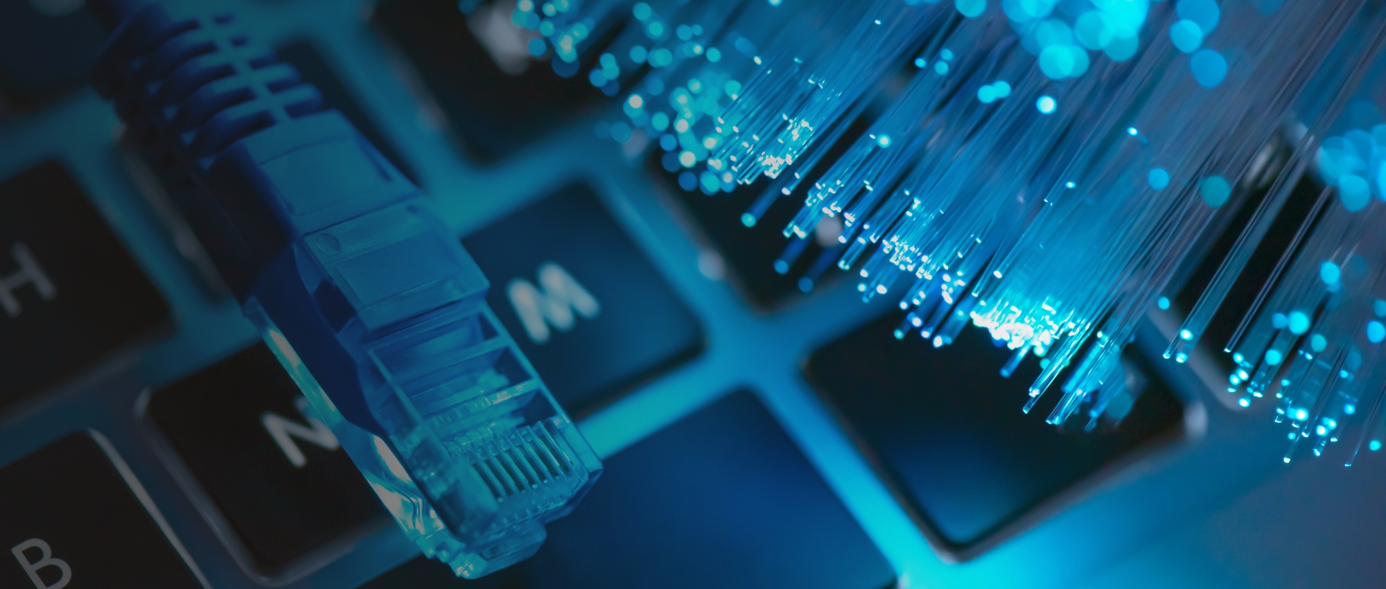 phone voip kapiti coast fibre installation wellington