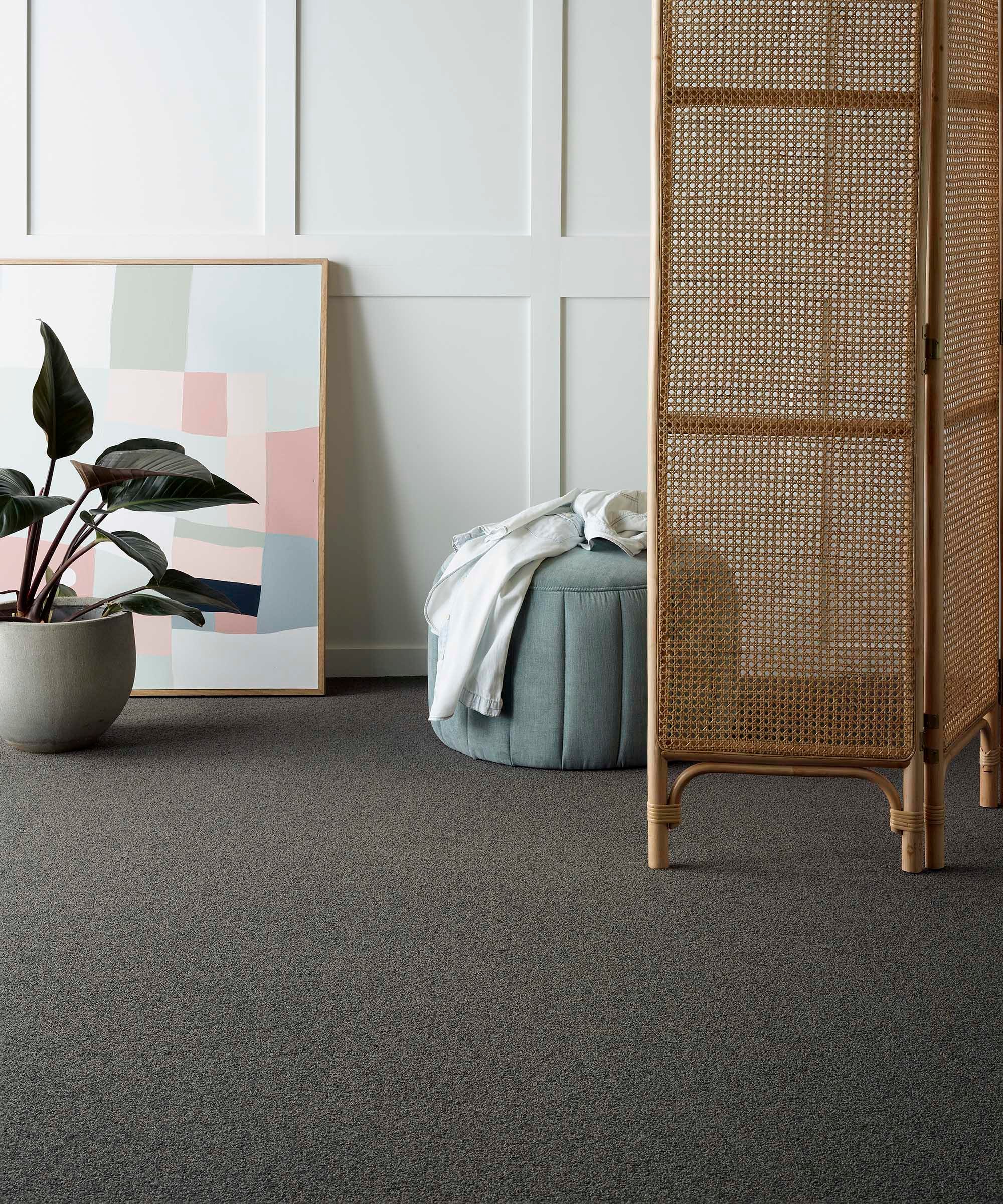 Carpet For Sale Auckland Carpet Companies Manukau, Huntly