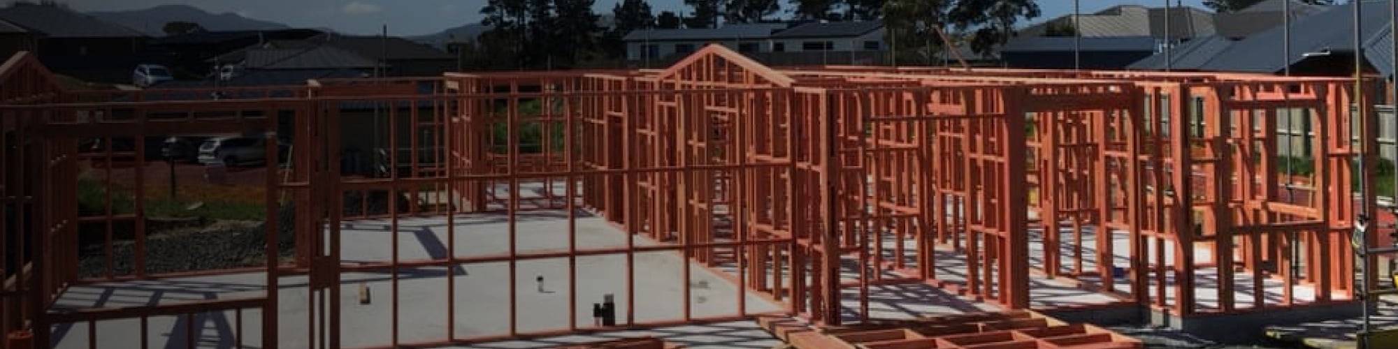 house renovations dunedin
