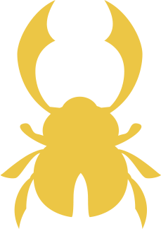 Golden scarab