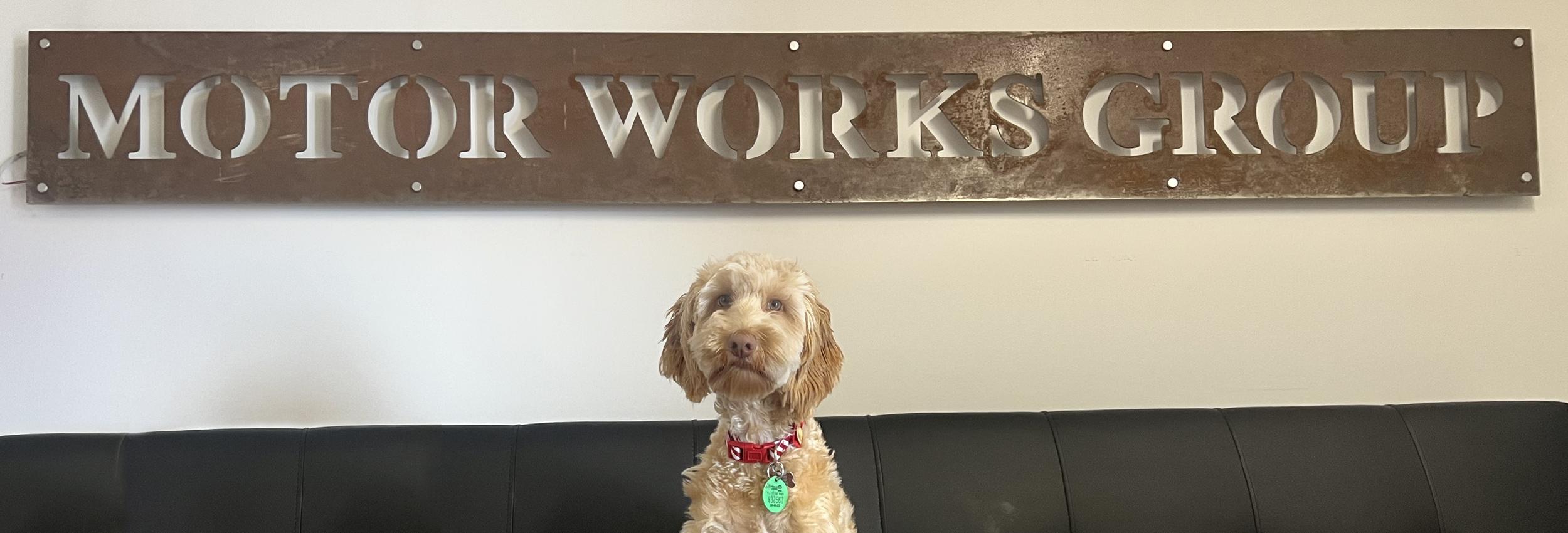 Cute groomed dog below an industrial-looking Motor Works Group sign