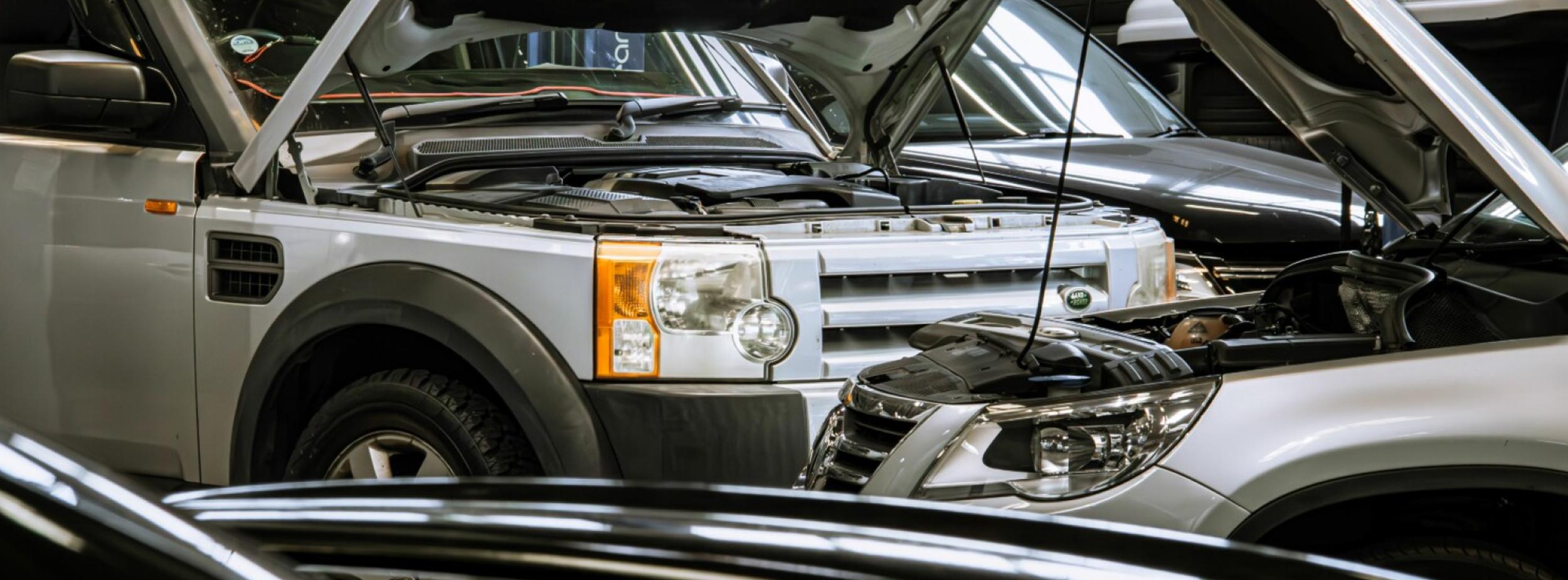 Vehicles Being Serviced at Te Rapa Auto Electrical