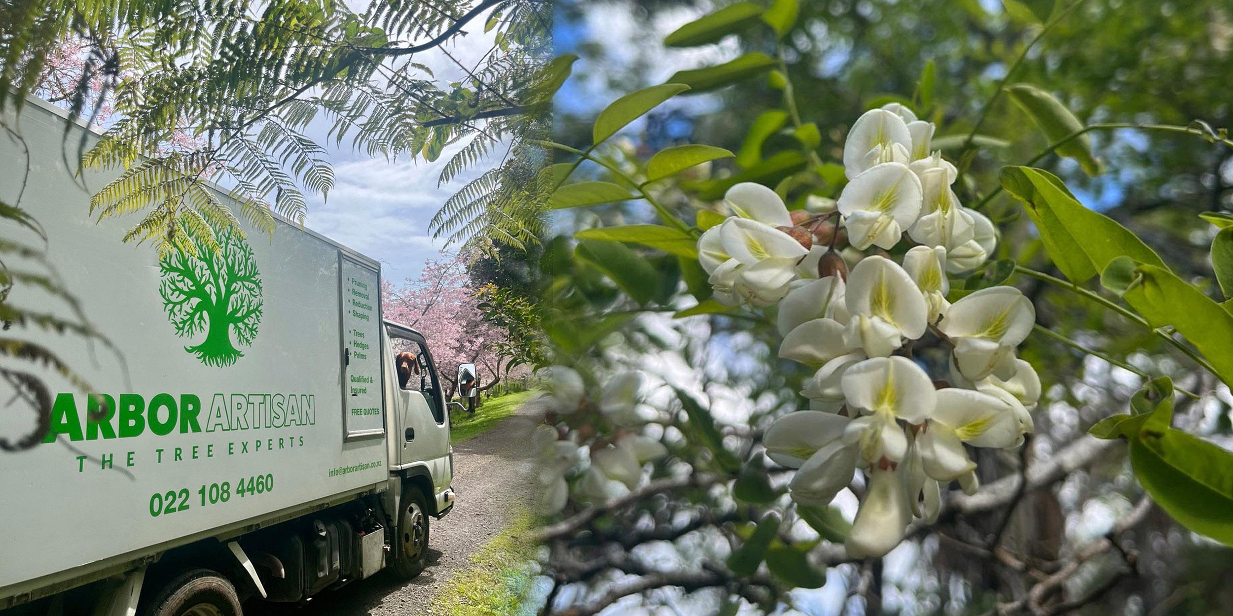 Arbor Artisan home page banner image 