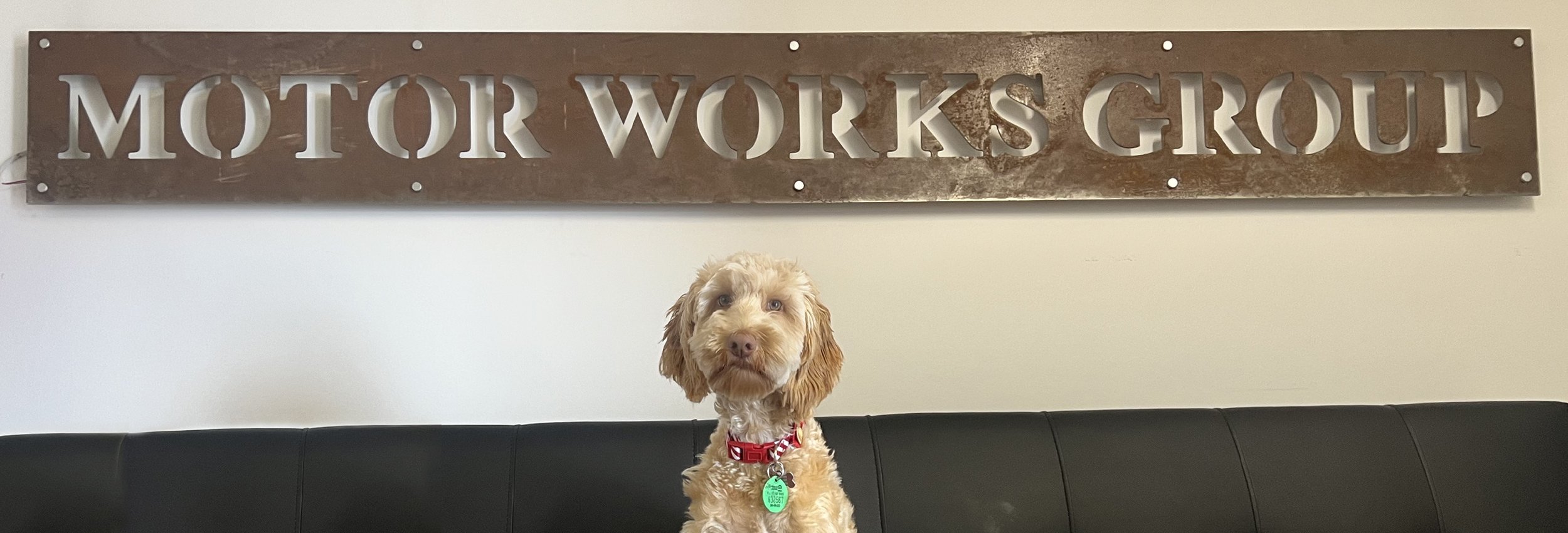 Cute groomed dog below an industrial-looking Motor Works Group sign
