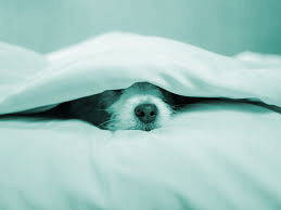 It Will Never Happen To Me