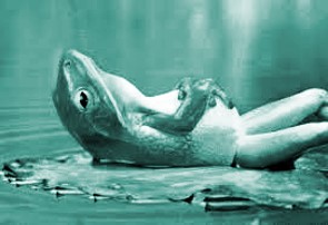 Do NOTHING with your investments………ride the storm…