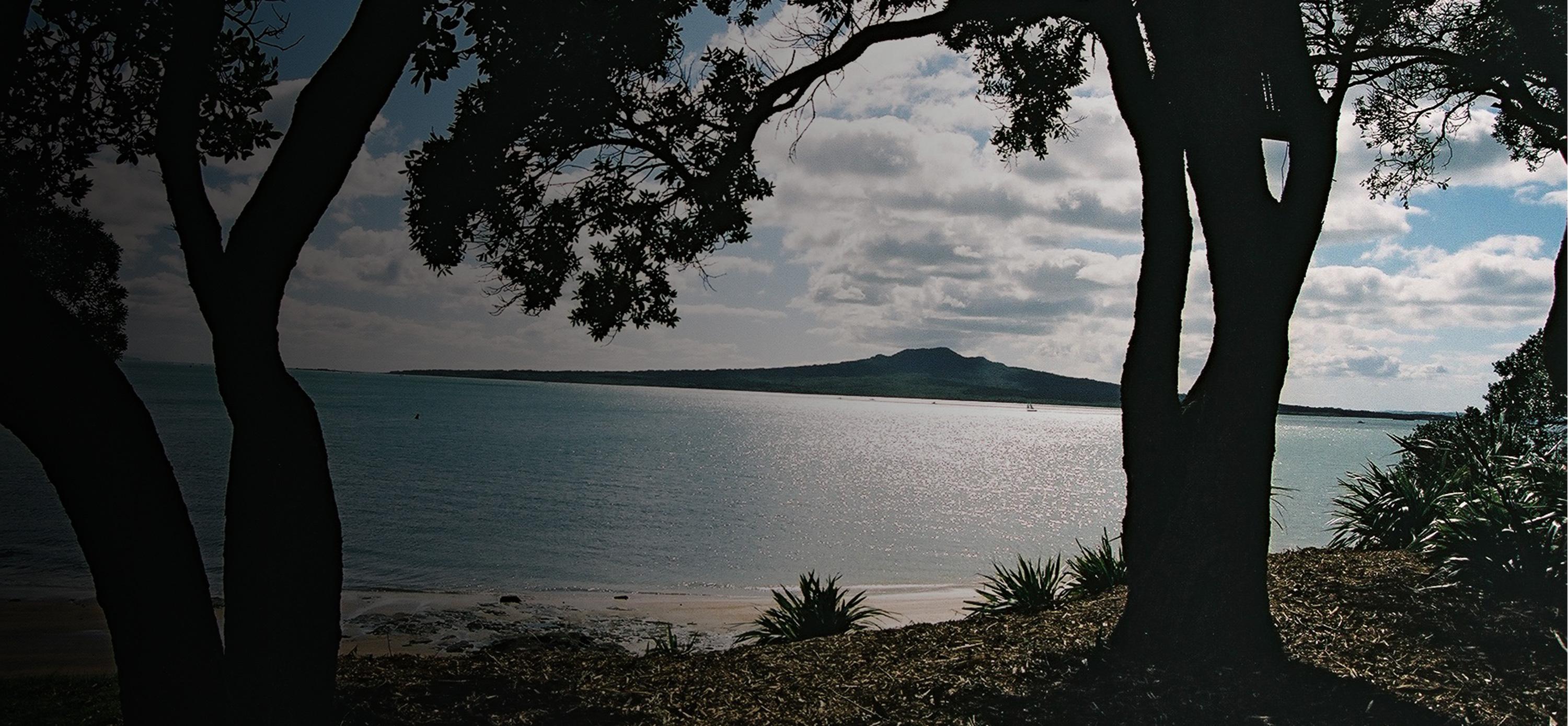 Rangitoto Island from beach, Auckland homes for sale