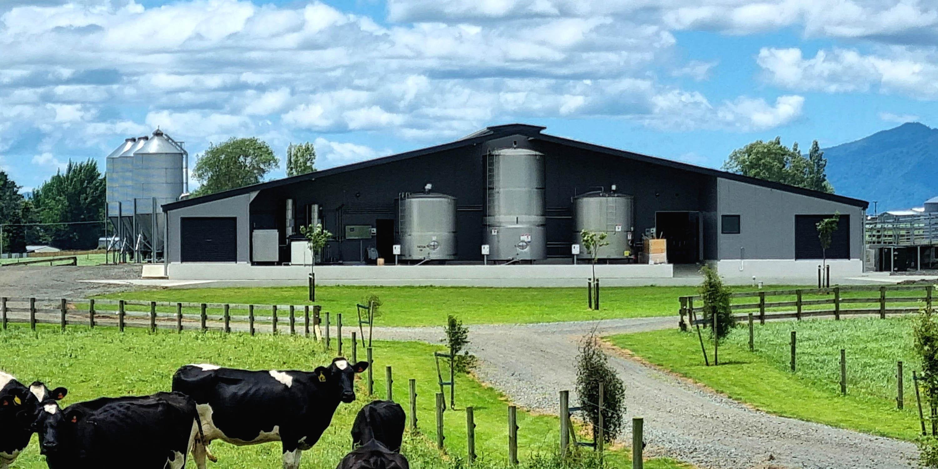 Dairy shed built by Don Chapman Ltd