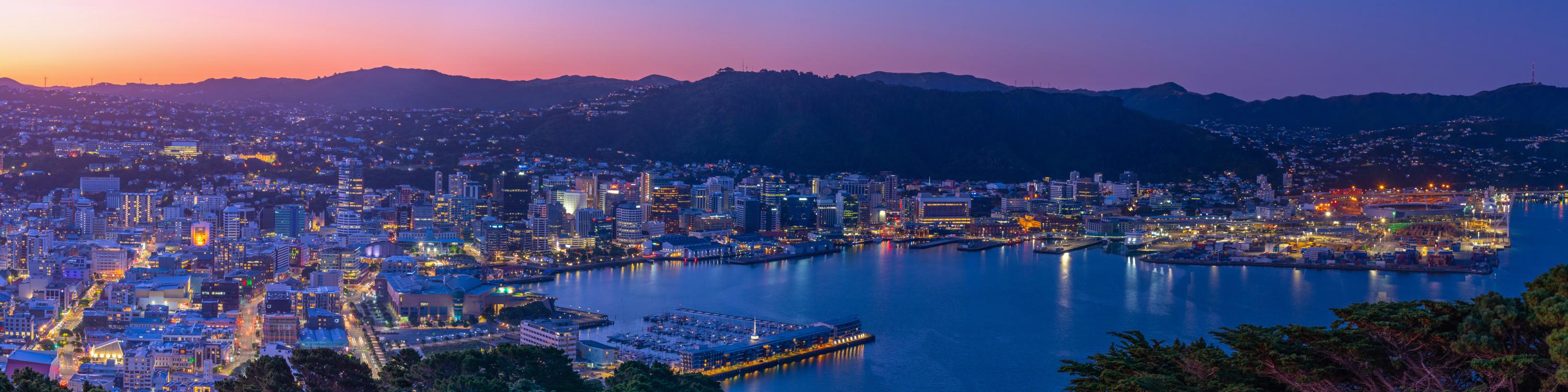 evening view of Wellington city