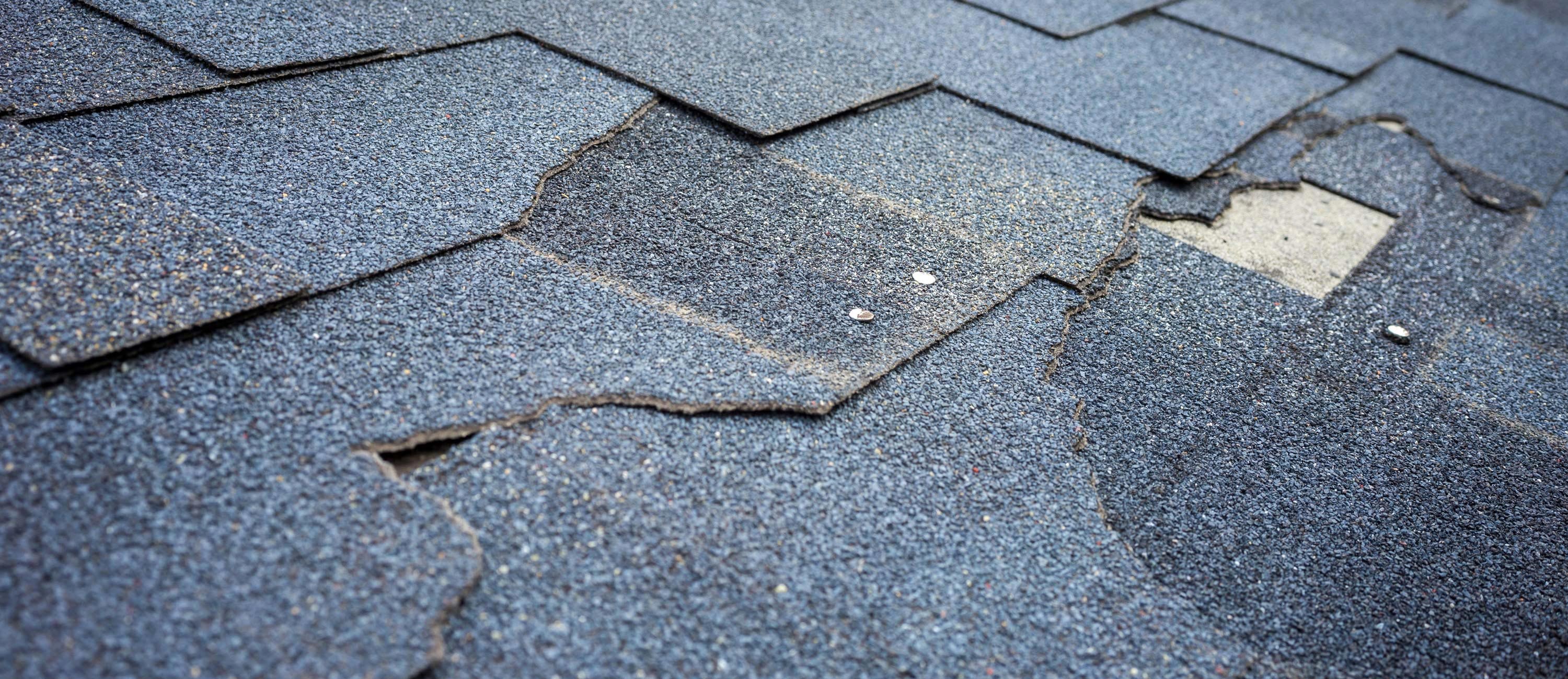 roofing specialists west auckland