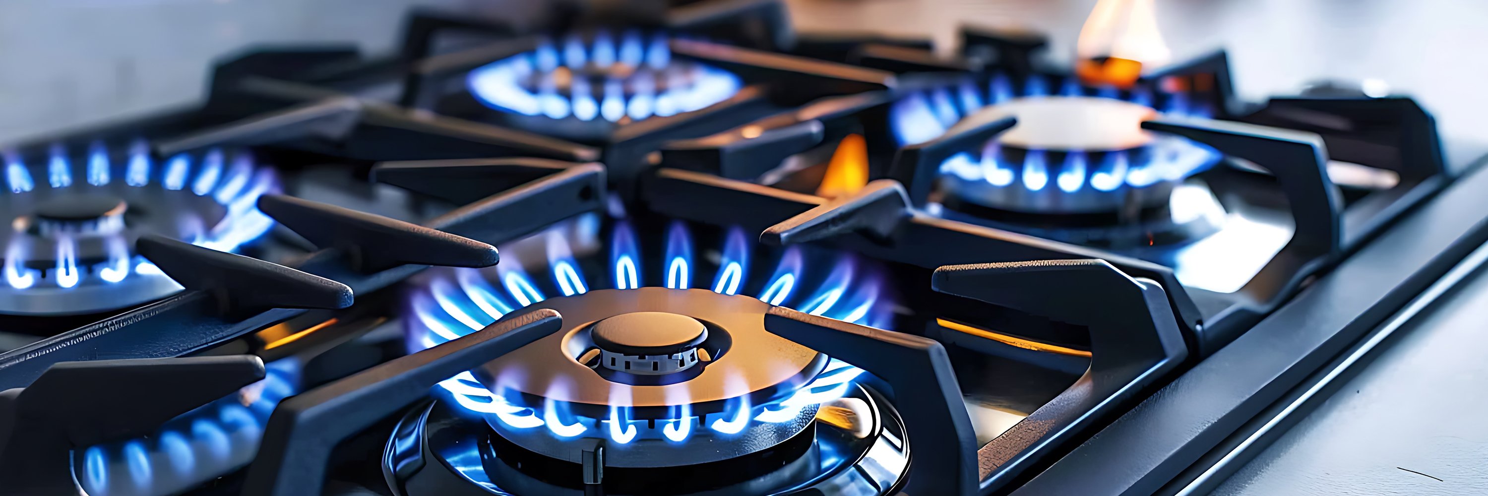 Tasman Plumbers home page banner 2