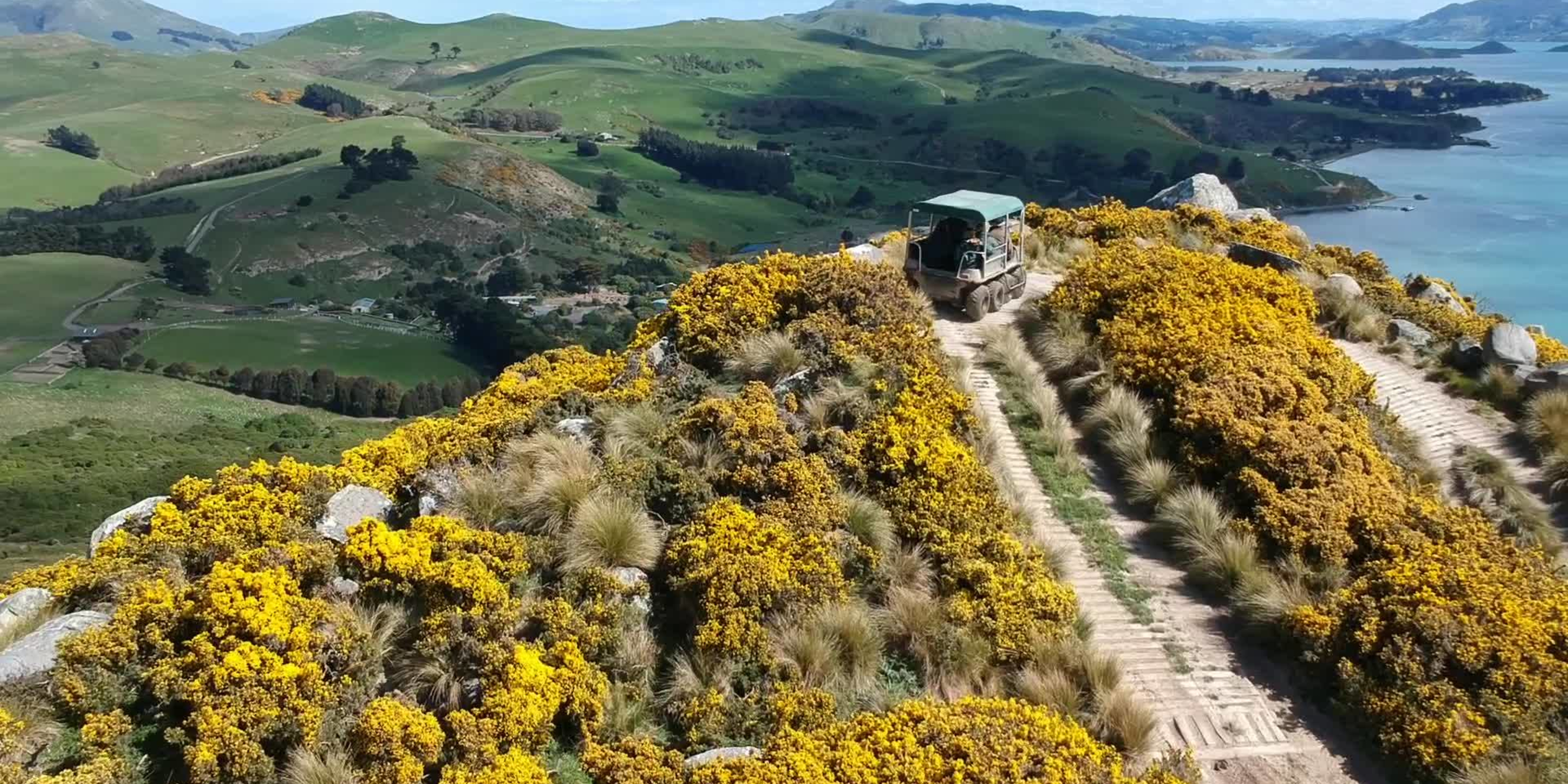 Bird's eye view of the 8-wheeler cart at the top of a hill/cliff looking over the Otago Peninsular | Wildlife Tour Companies Otago