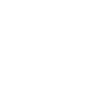 White control systems logo