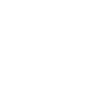 White Supervisory Control and Data Aquisition Systems logo