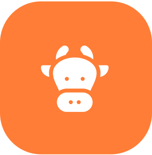 Orange square with a white cow