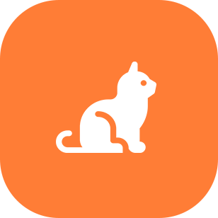 Orange square with a white cat