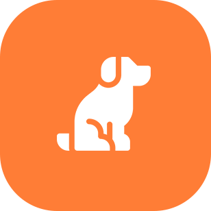 Orange square with a white dog