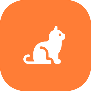 Orange square with a white cat