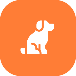Orange square with a white dog