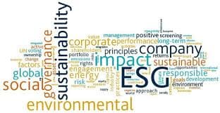 Sustainable Investing Strategies by Popularity