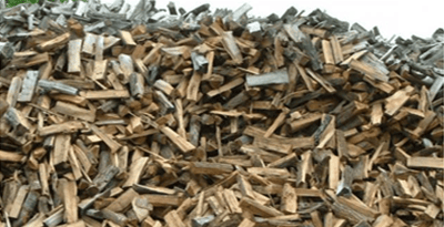 North Rodney Arborist