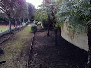 Section 1.1 - Clearing existing foliage, & keeping existing large trees.