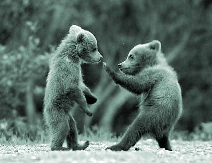 Don’t Get Beaten Up!