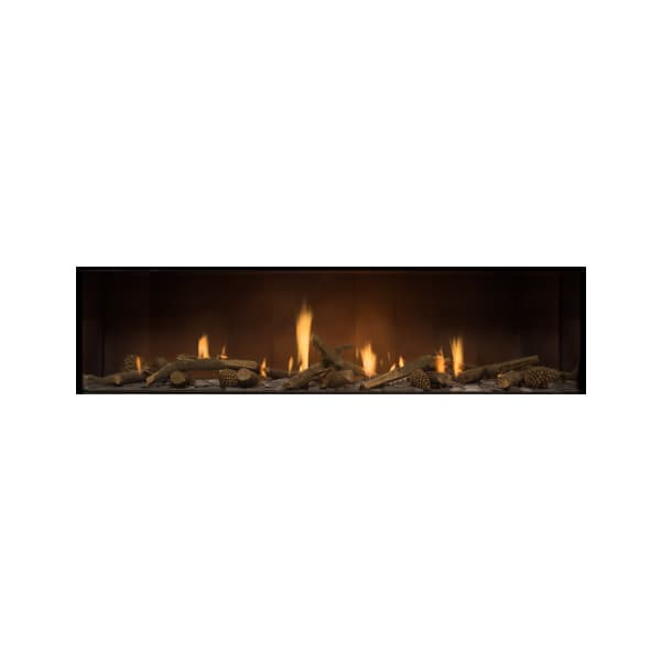 Escea DX1650 -  Inbuilt Gas Fire