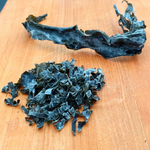 A big piece of blue seaweed next to a small pile of shaved seaweed bits