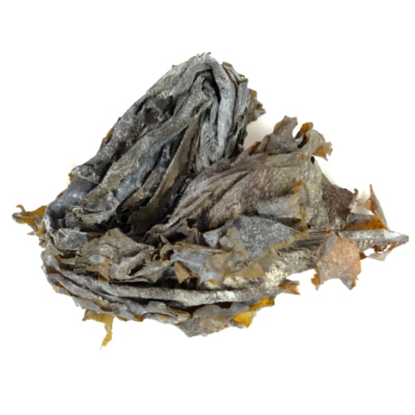 Dried piece of yellow-green wakame seaweed with a fully white background