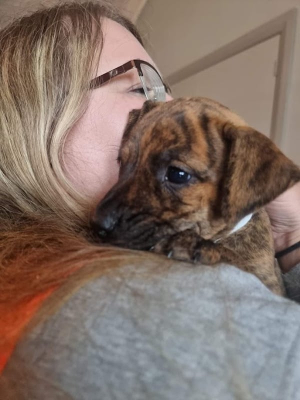 Rochelle Pryde holding a cute little brown dog over her shoulder as she gives it a hug