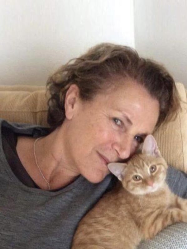 Dog Rescue NZ Dog, Cat, Horse, Animal Rescue Wellington