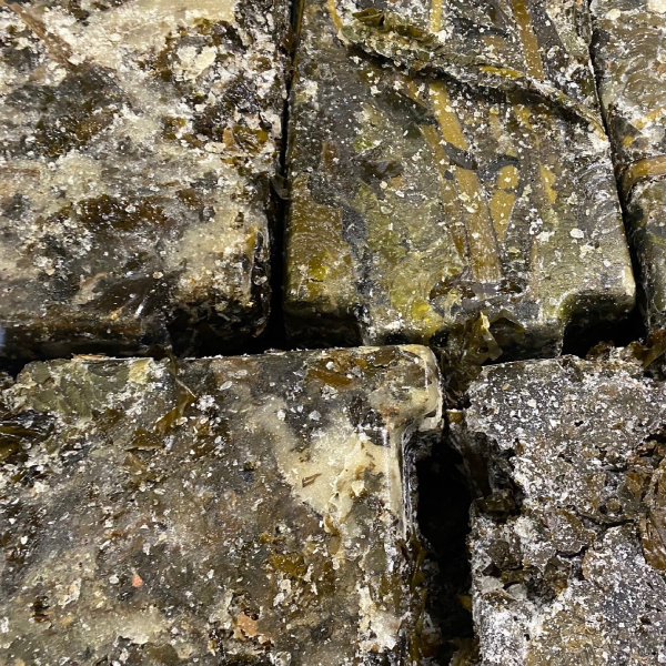Large frozen blocks of wakame seaweed