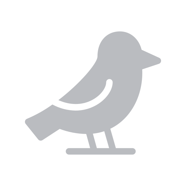 Grey bird logo