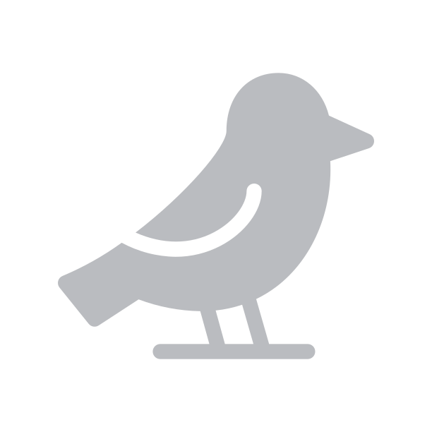 Grey bird logo