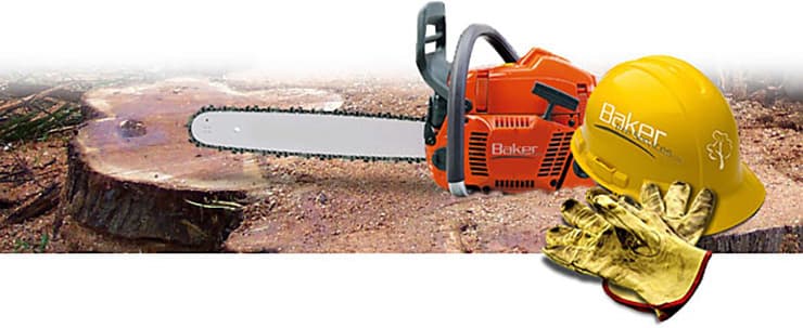 Tree Cutting & Stump Removal North Shore