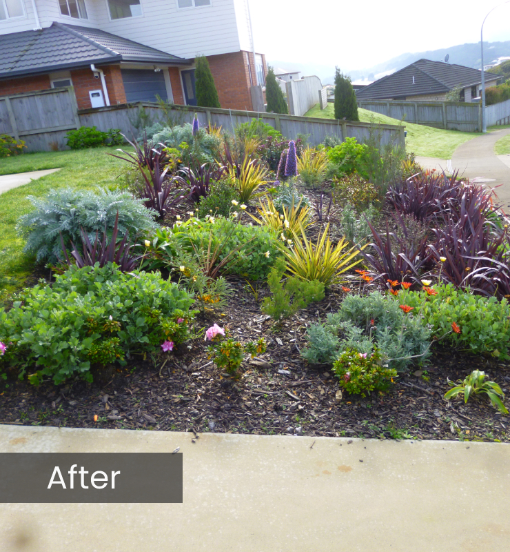 landscaping wellington landscape gardening wellington