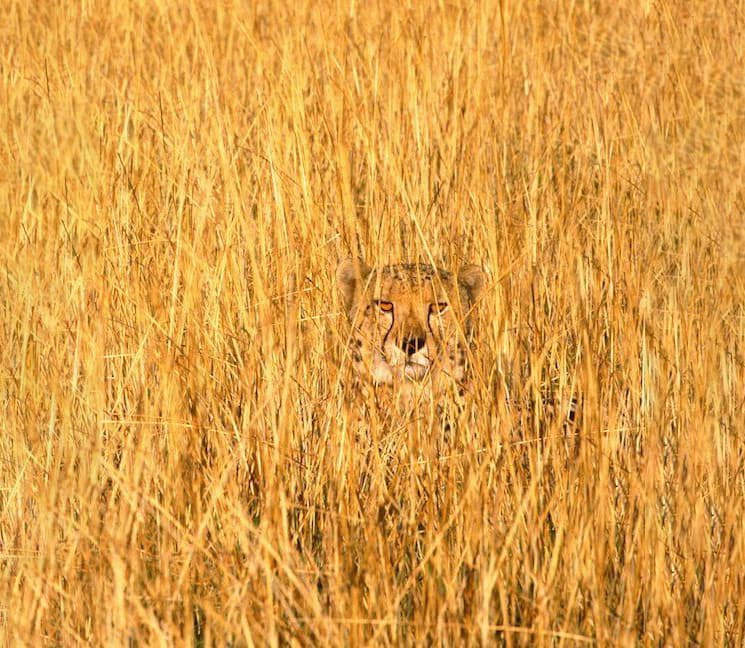 Beware the hidden costs of indexing