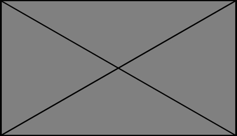 Nikau Foundation Logo