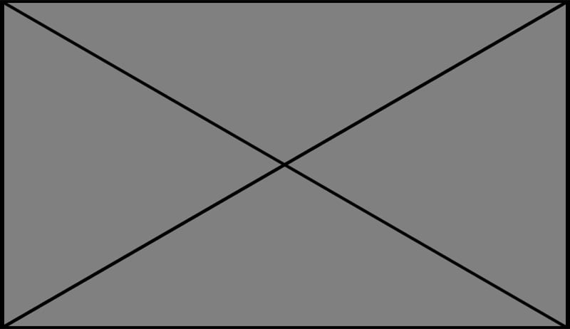 Nikau Foundation Logo