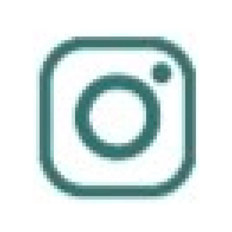 Teal Instagram logo
